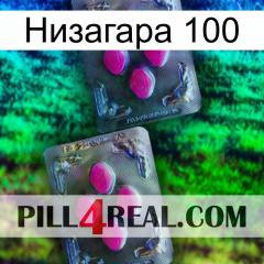 Низагара 100 01